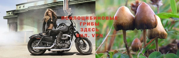 прущие крисы Горнозаводск