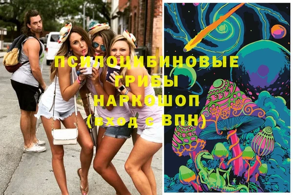 прущая мука Горняк