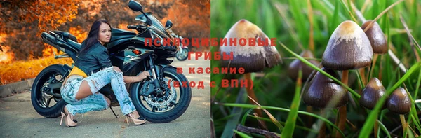 прущие крисы Горнозаводск